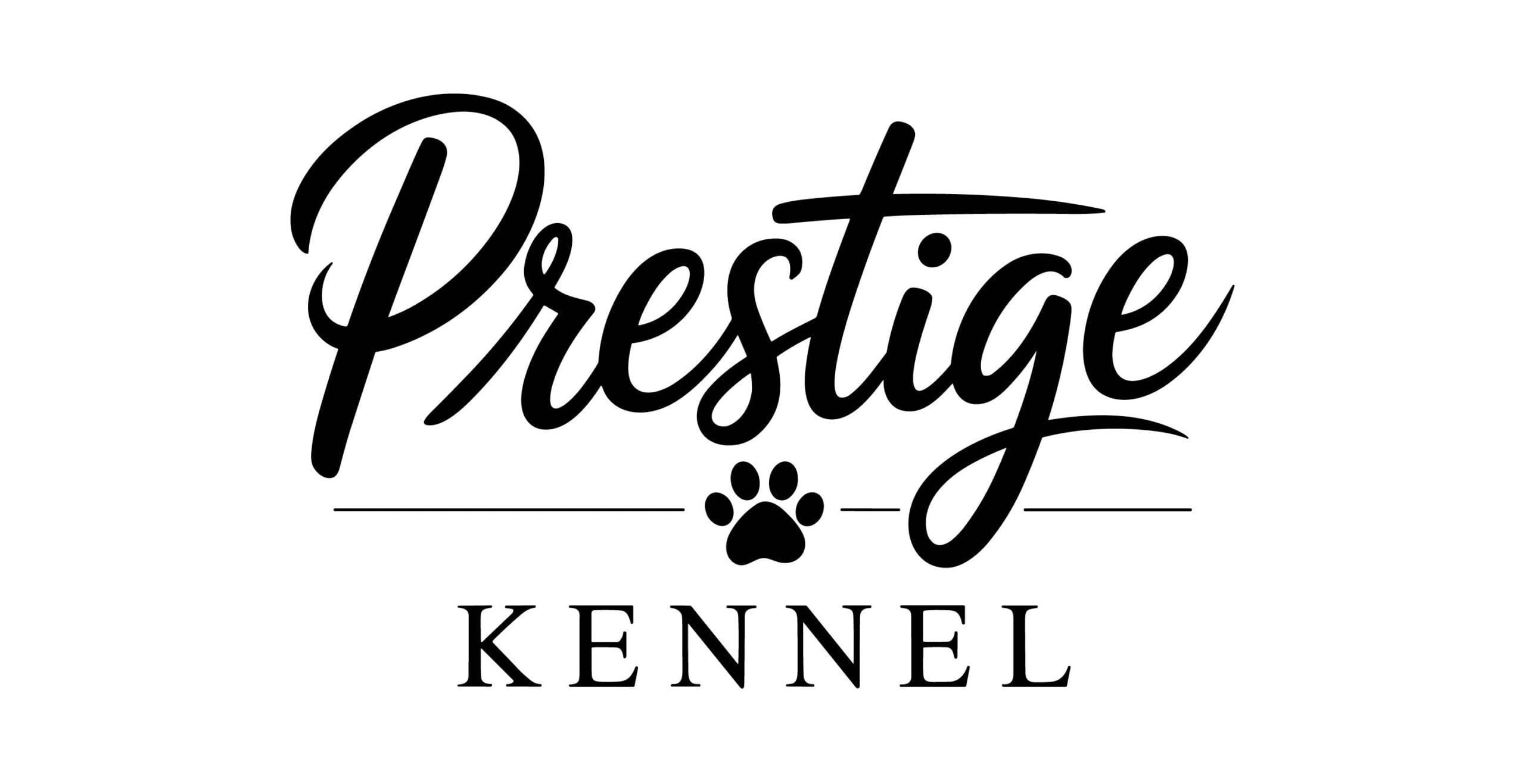 Prestige Kennel - Miniature Schnauzers Puppies