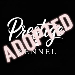 Adopted